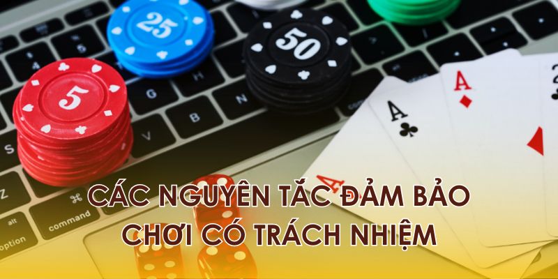 Các nguyên tắc cơ bản về trách nhiệm cho người chơi