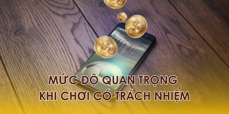 Tìm hiểu mục đích của việc chơi có trách nhiệm