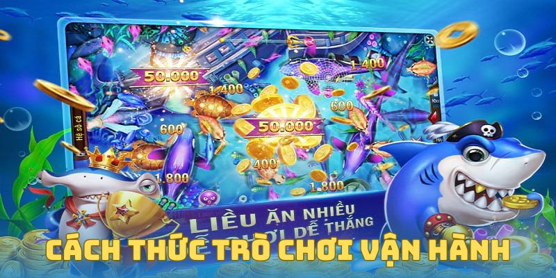 Một số cách thức vận hành trò chơi