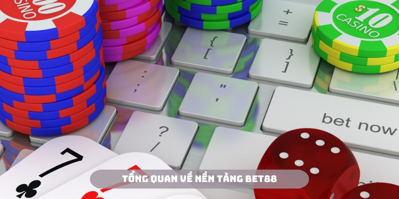 Cơ sở pháp lý vững chắc khi giới thiệu Bet88