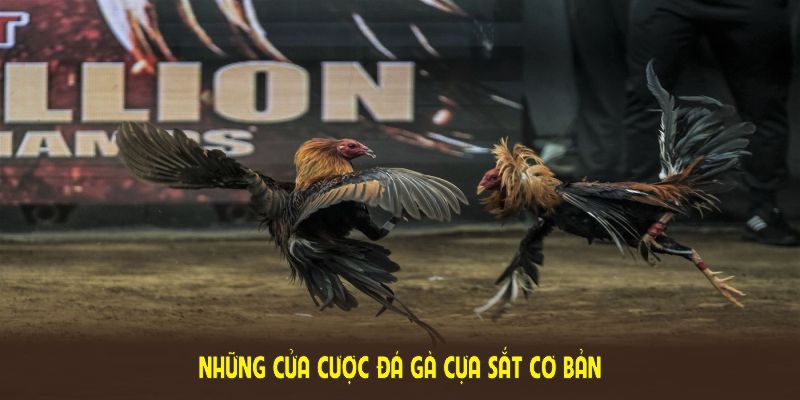 Những cửa cược đá gà cựa sắt cơ bản cần nắm